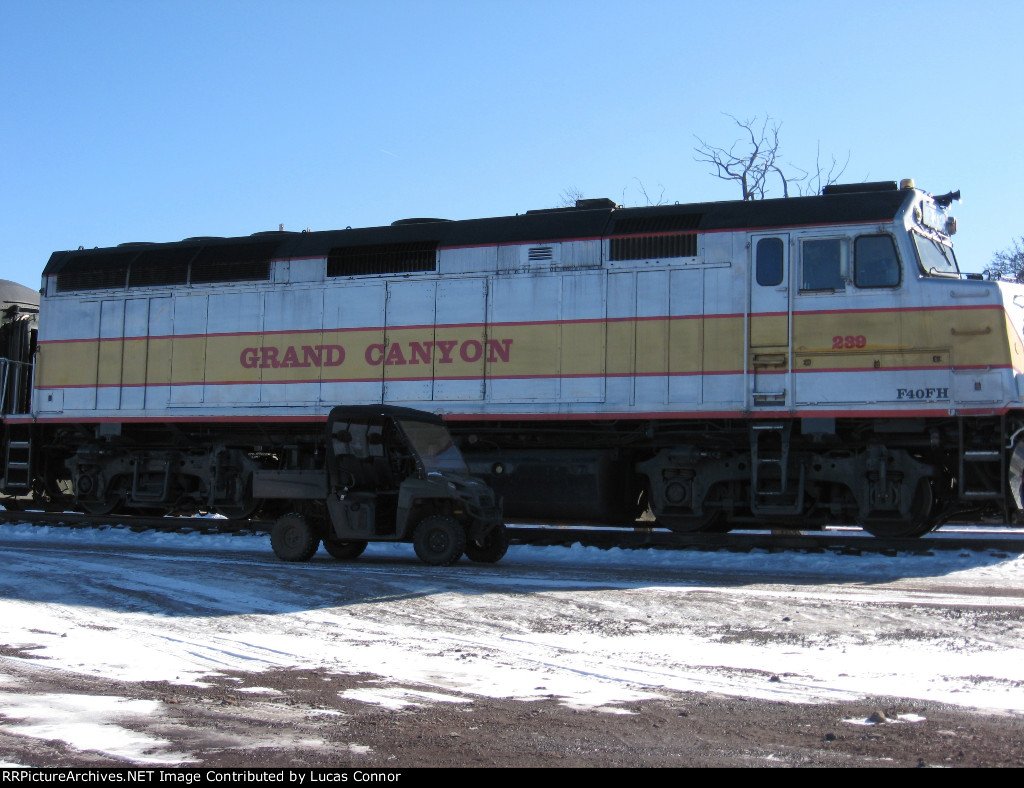 Grand Canyon Railway 239